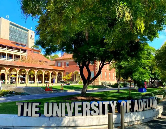 阿德莱德大学